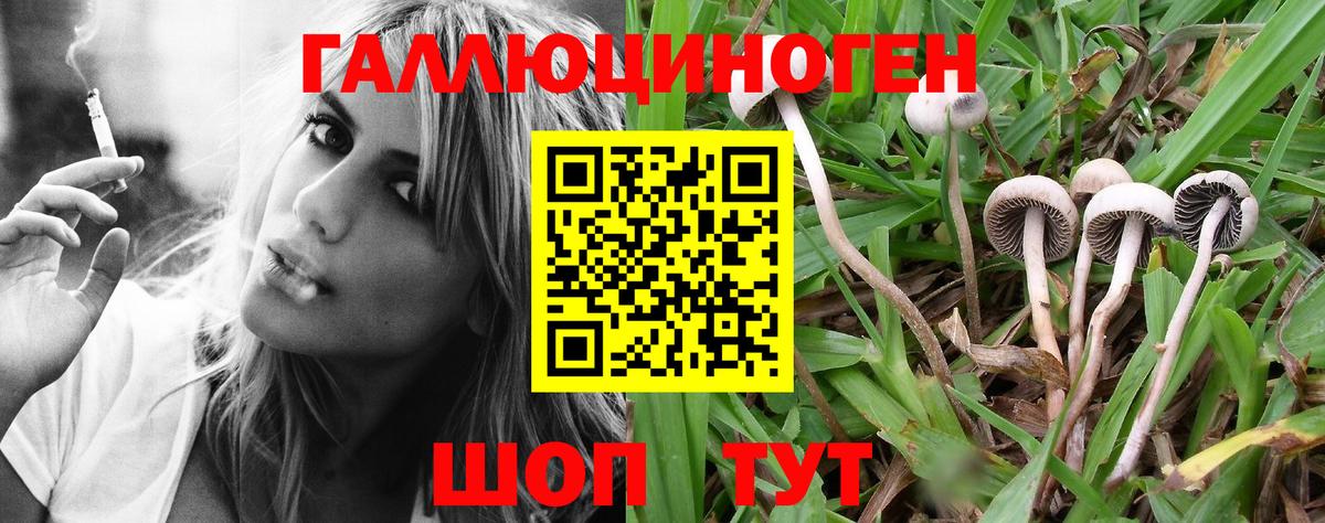 Псилоцибиновые грибы Psilocybe  Вход с VPN  Ярославль 