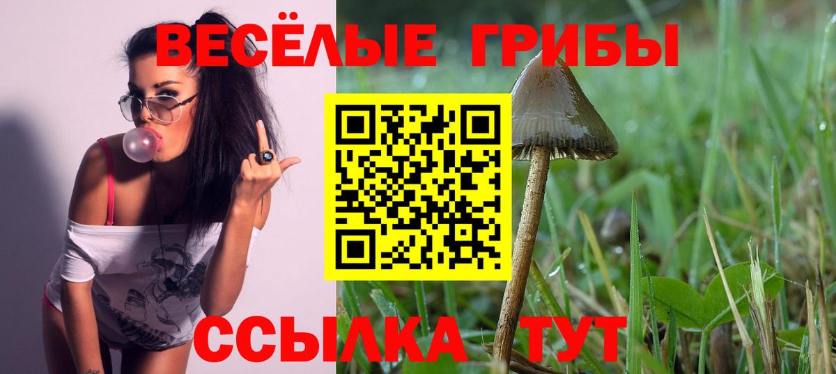 Псилоцибиновые грибы Cubensis Ярославль